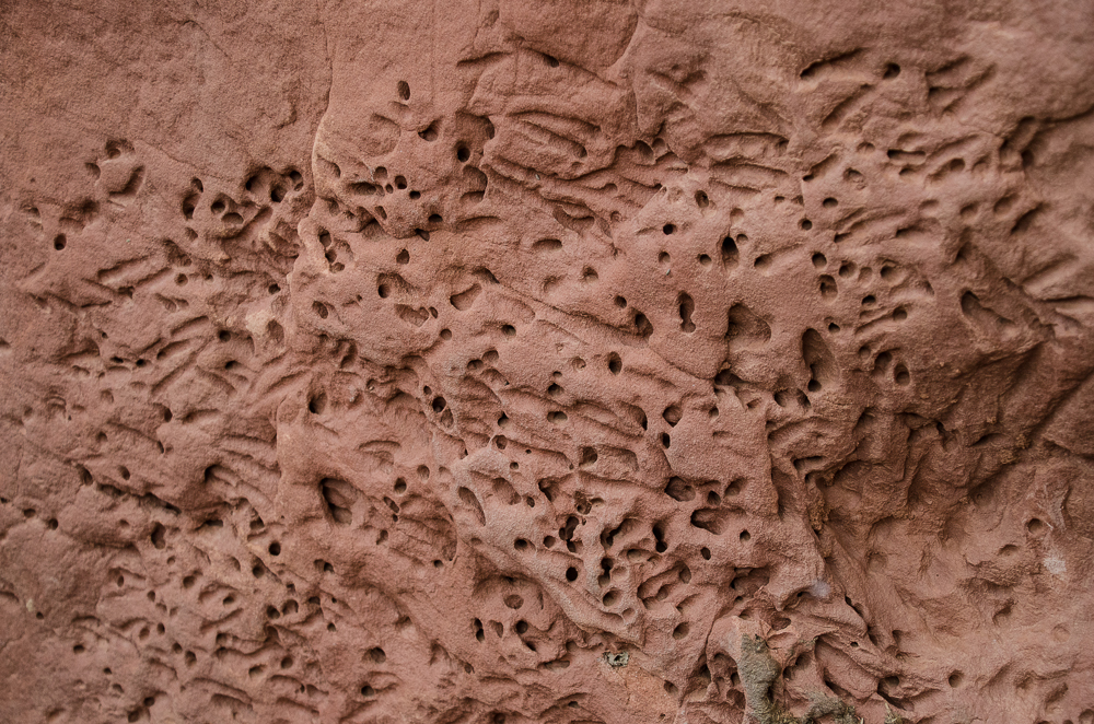Holes in sandstone