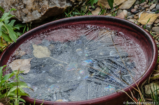Ice in bird bath