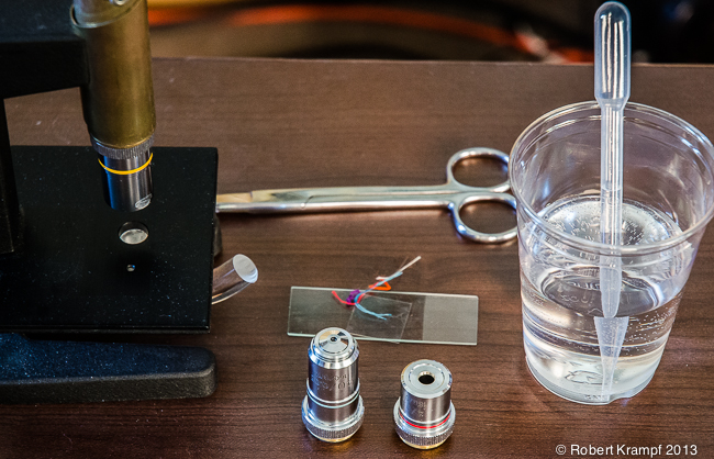 microscope and supplies