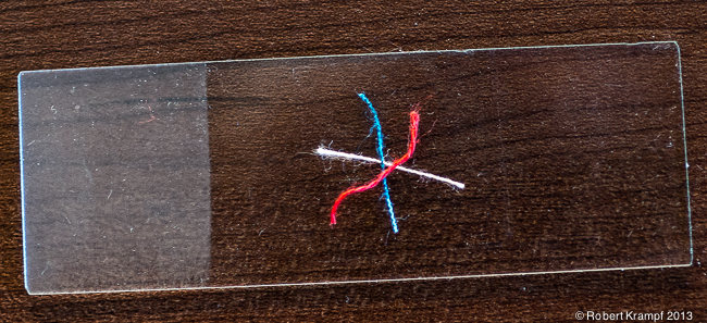threads on microscope slide