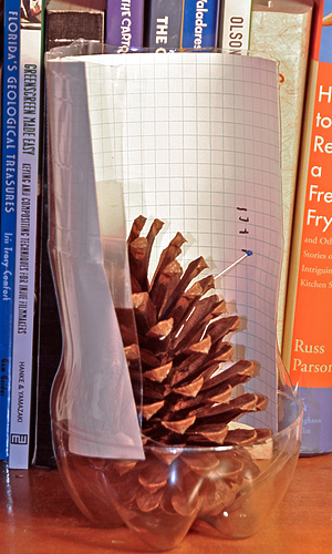 pinecone hygrometer