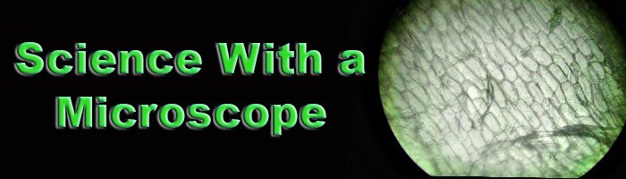 Science with a microscope