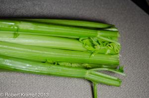 Celery Celery