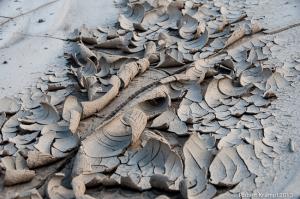Mud cracks Mud cracks